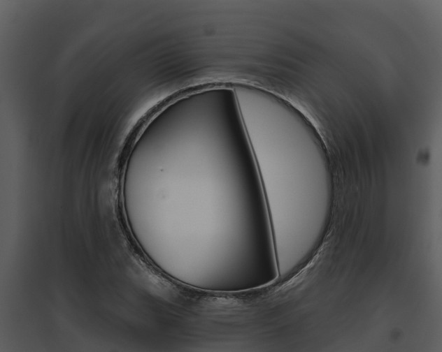 X0000095681119200801081057