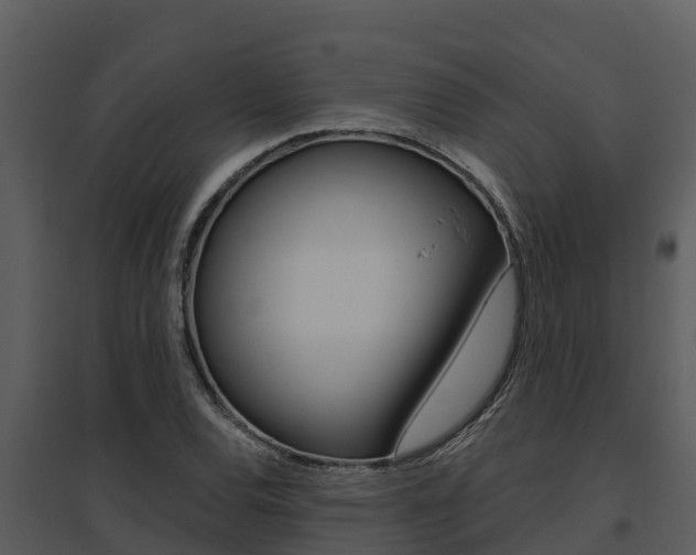 X0000095681120200801081057