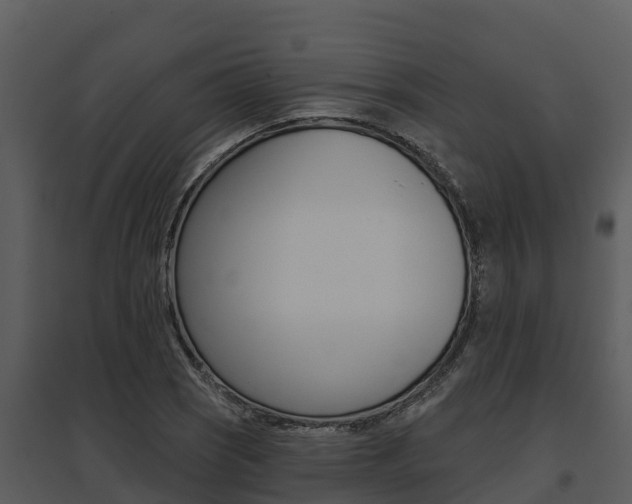 X0000095681121200801081057
