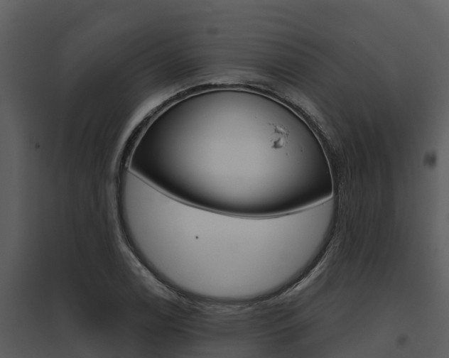 X0000095681122200801081057