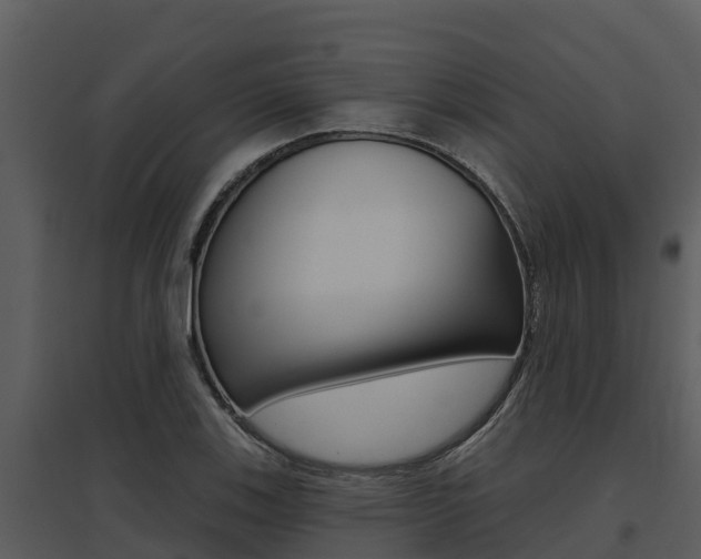 X0000095681123200801081057