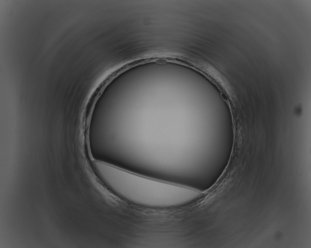 X0000095681124200801081057