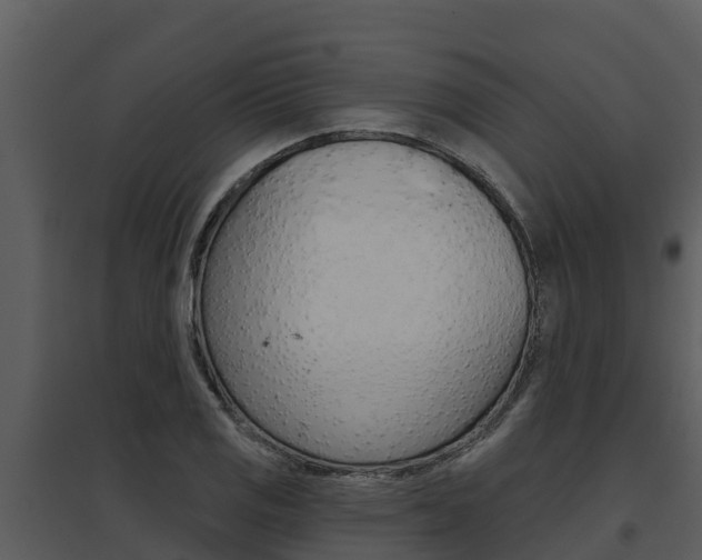X0000095681125200801081057