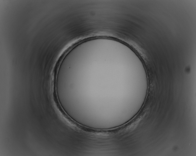 X0000095681126200801081057