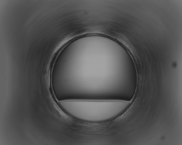 X0000095681127200801081057