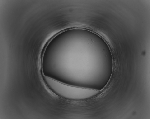 X0000095681128200801081057
