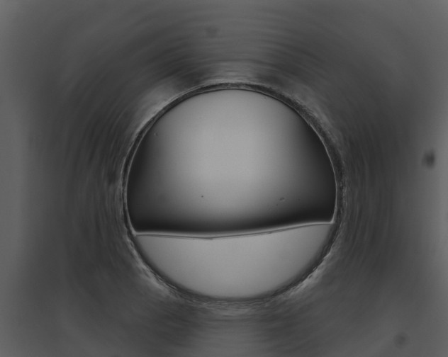 X0000095681129200801081057