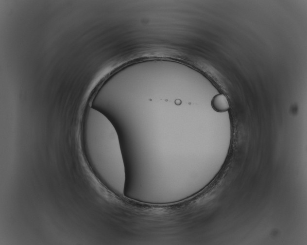 X0000095681130200801081057