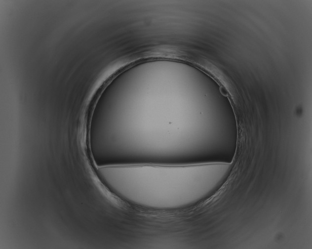 X0000095681131200801081057