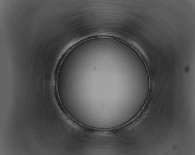 X0000095681133200801081057