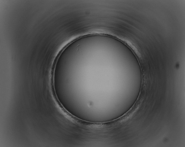 X0000095681134200801081057