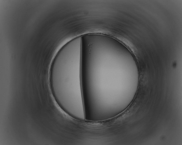 X0000095681135200801081057