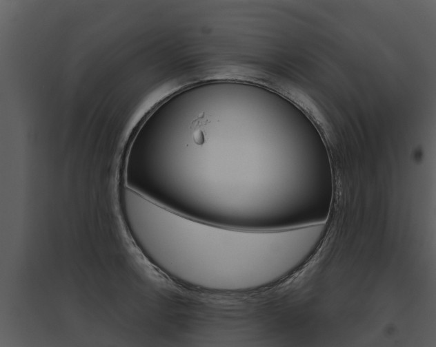 X0000095681138200801081057