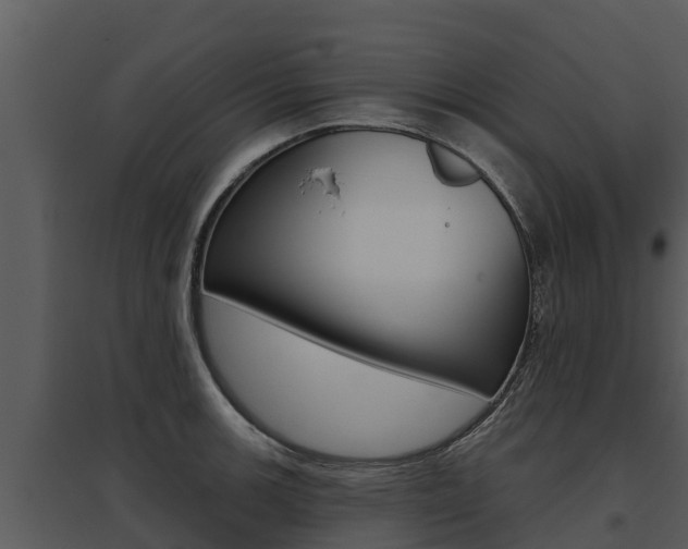 X0000095681139200801081057