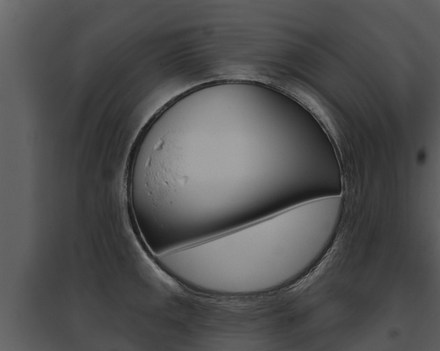 X0000095681141200801081057