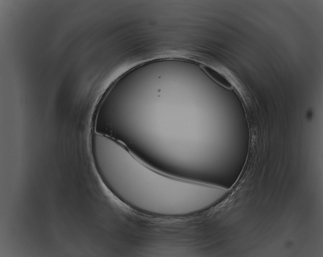X0000095681143200801081057
