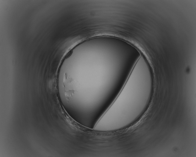 X0000095681145200801081057