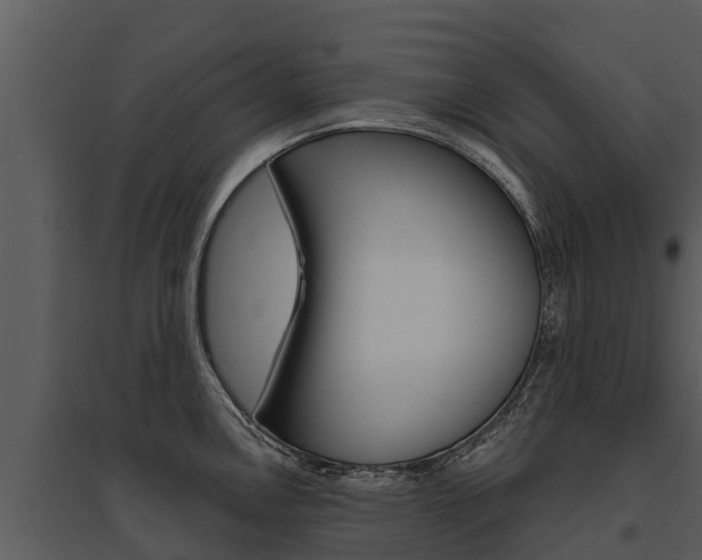 X0000095681146200801081057
