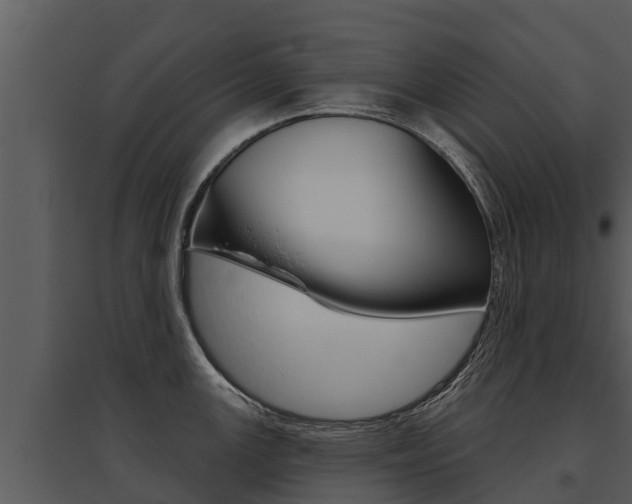X0000095681147200801081057