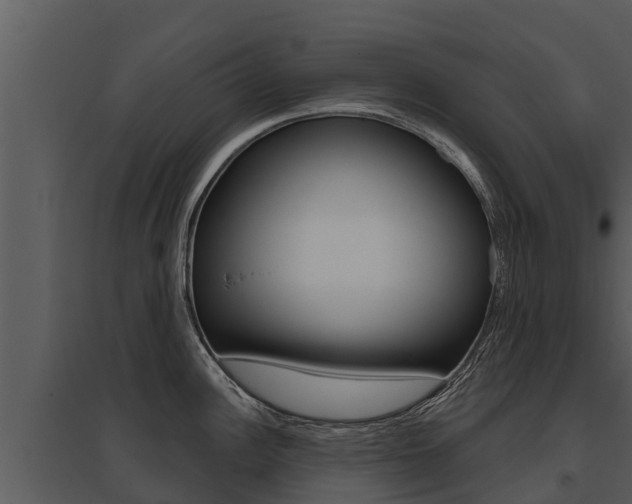 X0000095681148200801081057