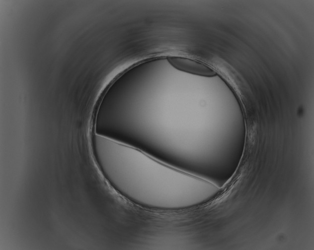 X0000095681149200801081057