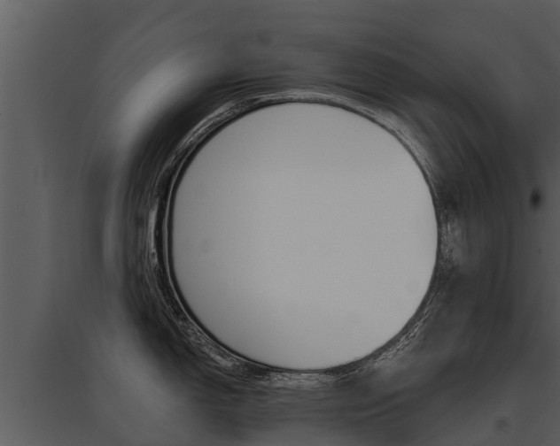X0000095681150200801081057