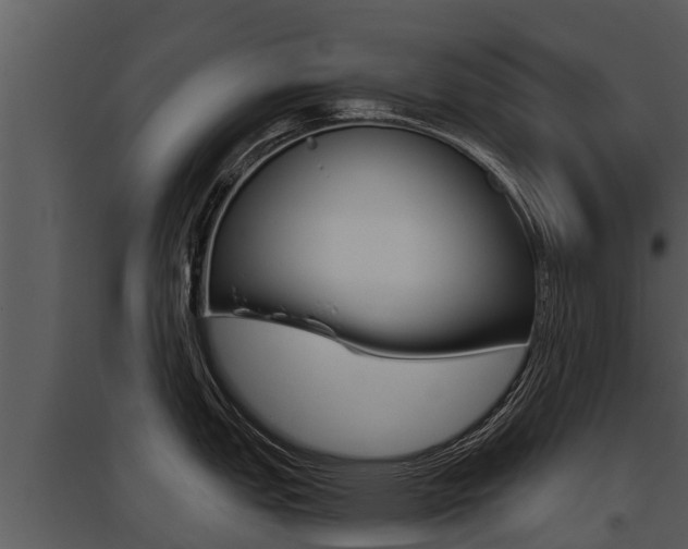 X0000095681151200801081057