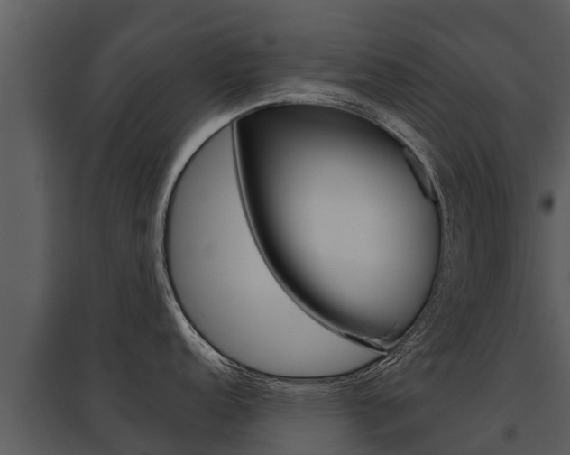 X0000095681152200801081057