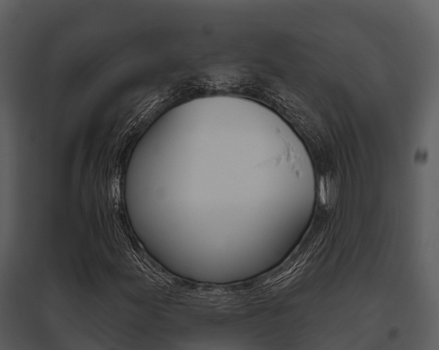 X0000095681155200801081056