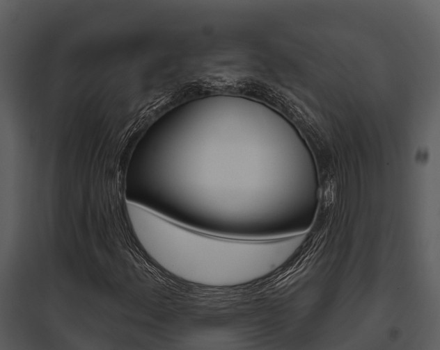 X0000095681156200801081056