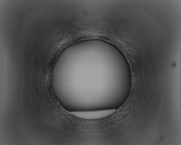 X0000095681157200801081056