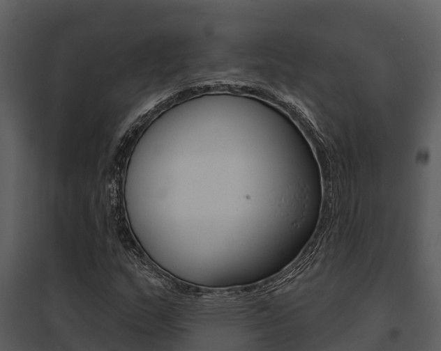 X0000095681159200801081056