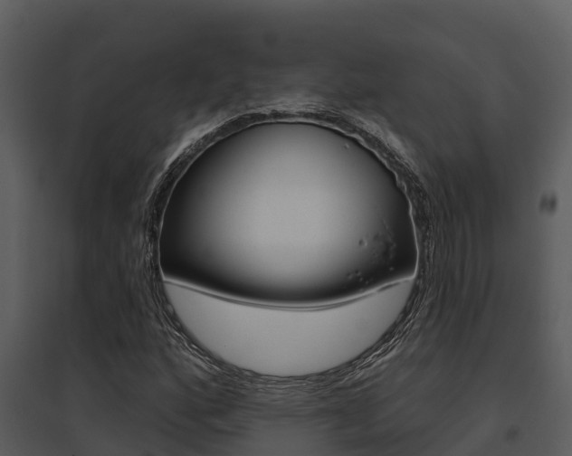 X0000095681160200801081056