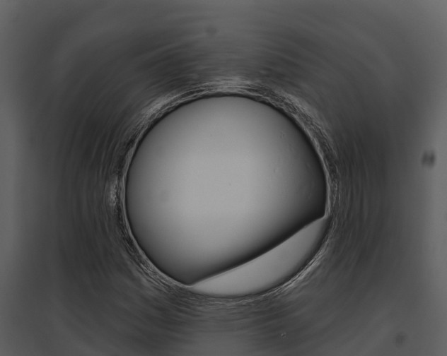 X0000095681161200801081056