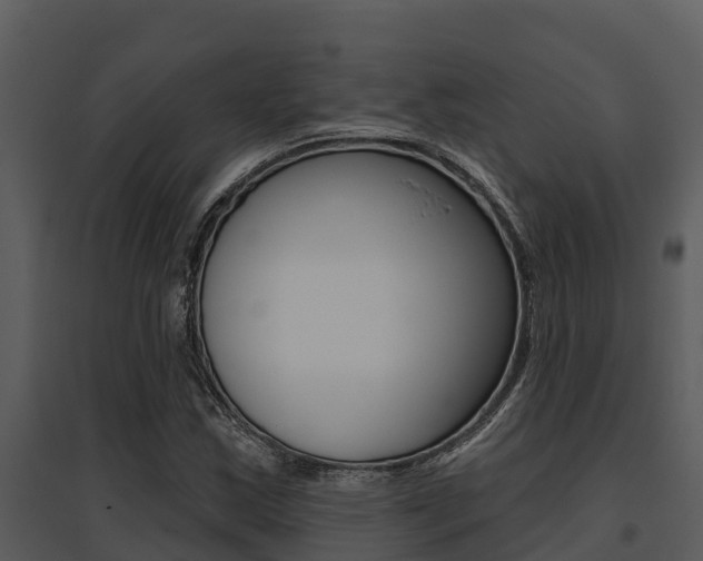 X0000095681163200801081056