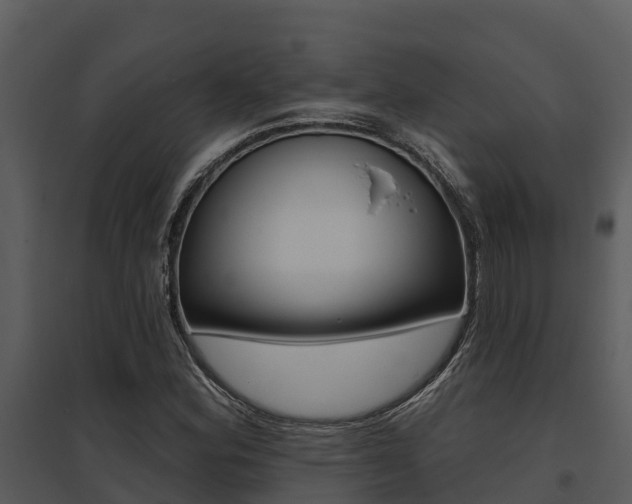 X0000095681164200801081056