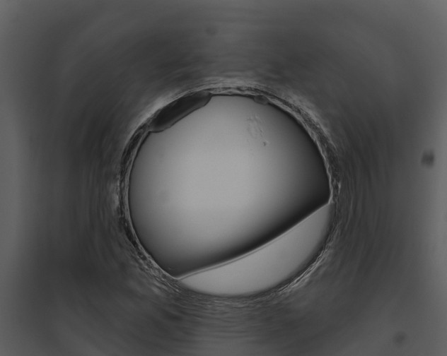 X0000095681165200801081056