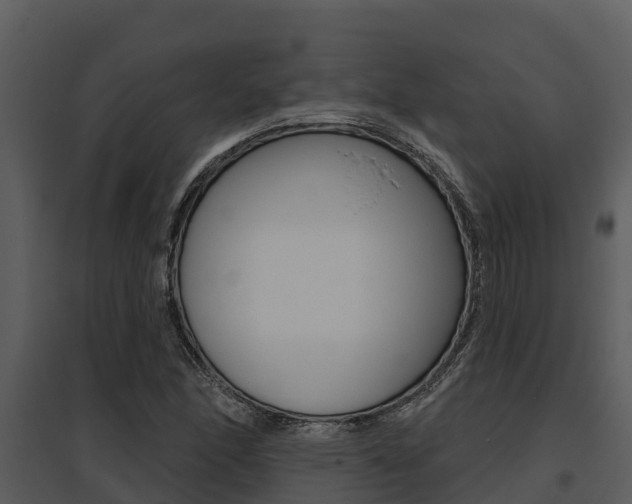 X0000095681166200801081056