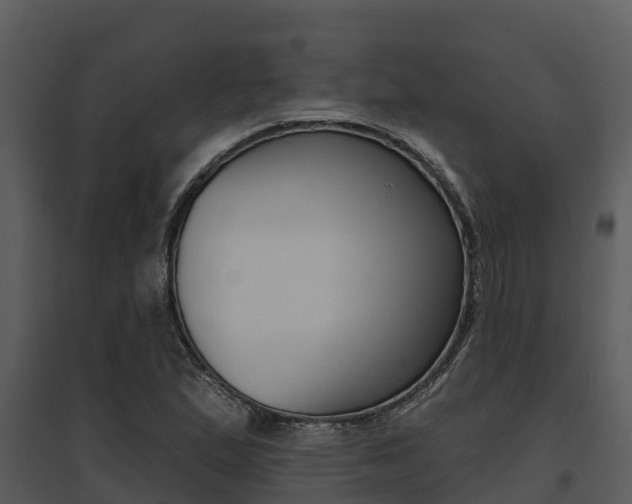 X0000095681167200801081056