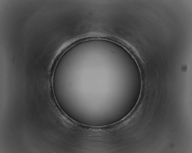 X0000095681168200801081056