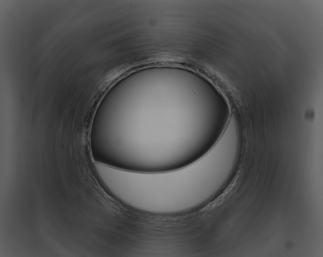 X0000095681169200801081056