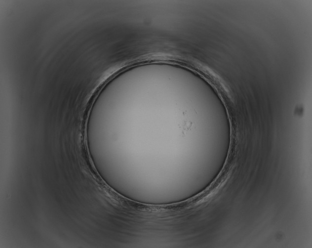 X0000095681170200801081056