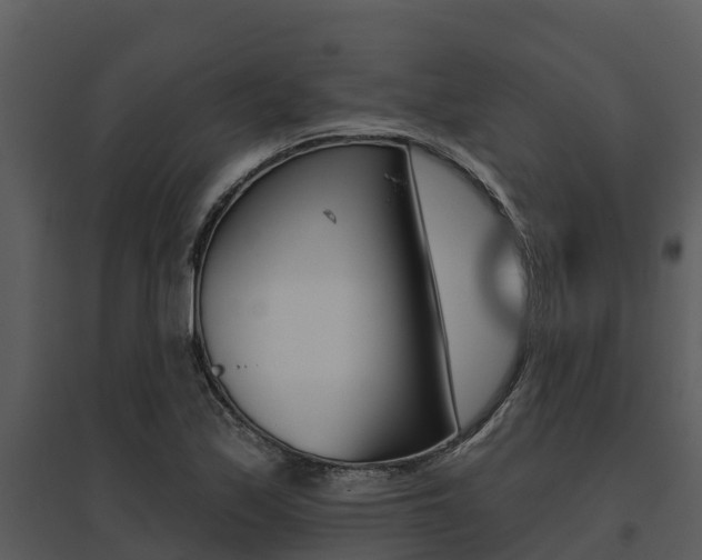 X0000095681171200801081056