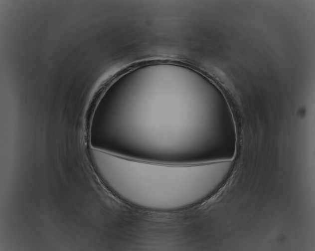 X0000095681172200801081056