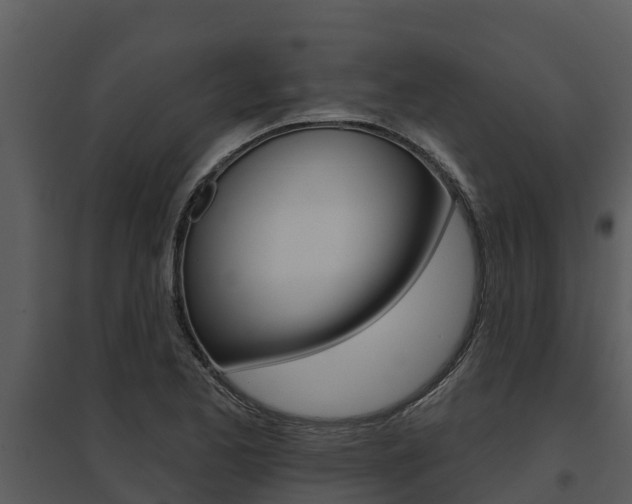 X0000095681173200801081056