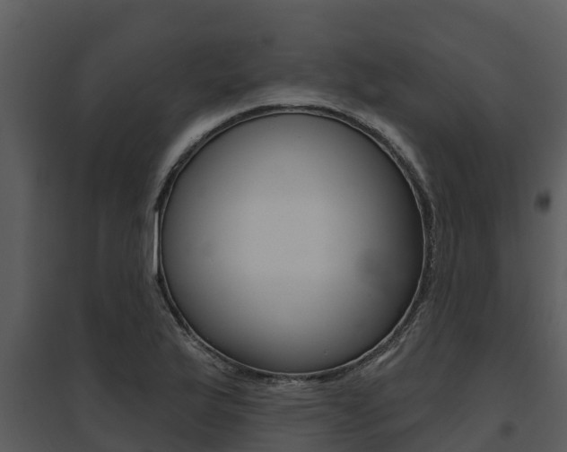 X0000095681175200801081056