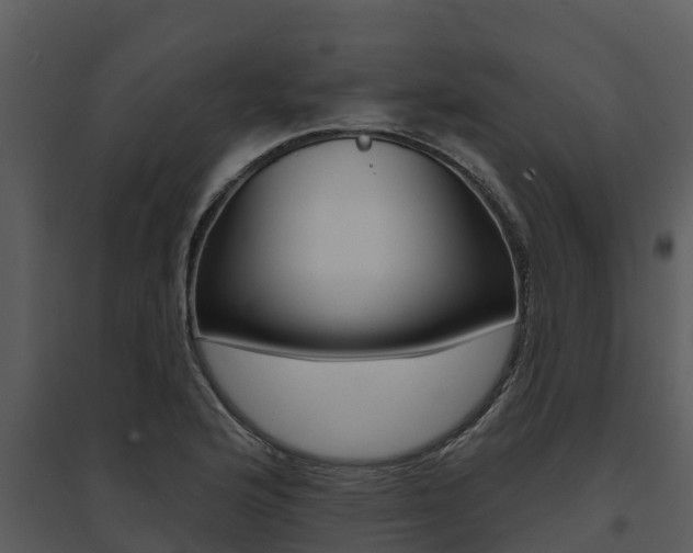 X0000095681176200801081056