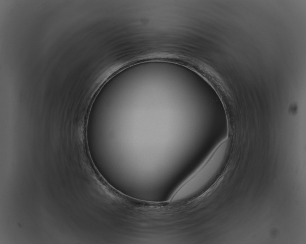 X0000095681177200801081056