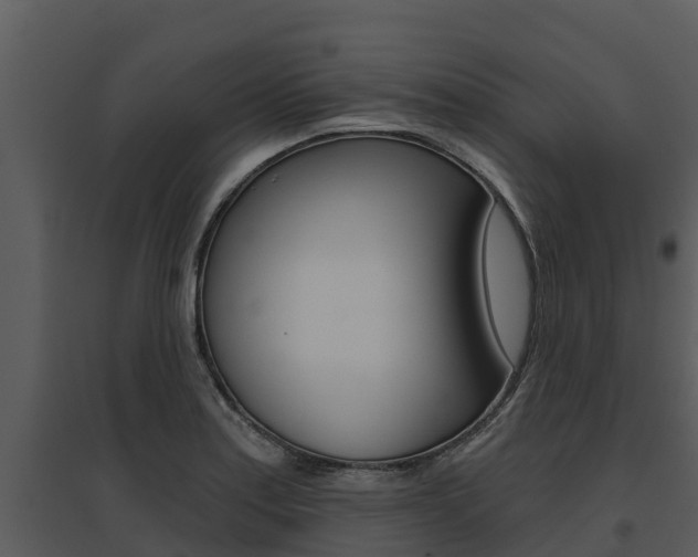 X0000095681179200801081056