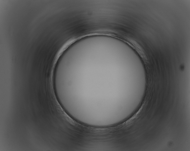 X0000095681180200801081056